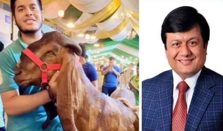 গোপনে দেশ ছেড়েছেন ছাগলকাণ্ডের সেই ইফাত!